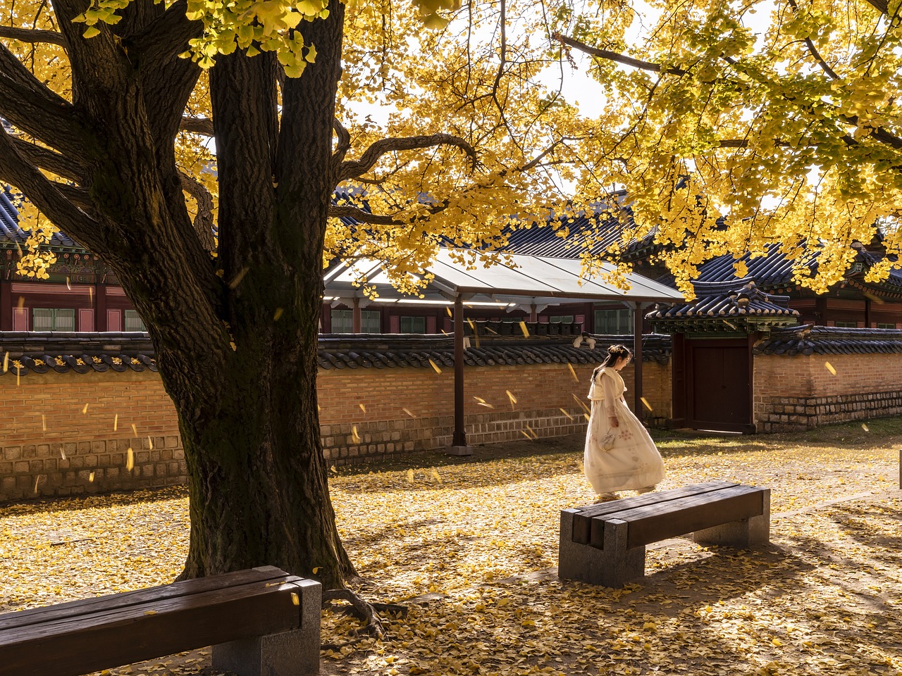 Why Seoul is a Must-Visit Destination in Asia